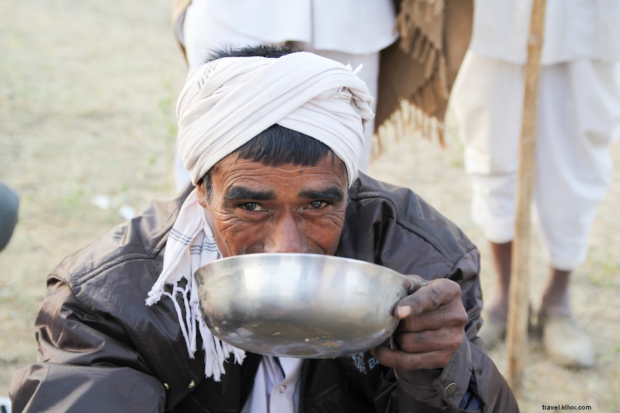 Chai au lait de chameau à Pushkar