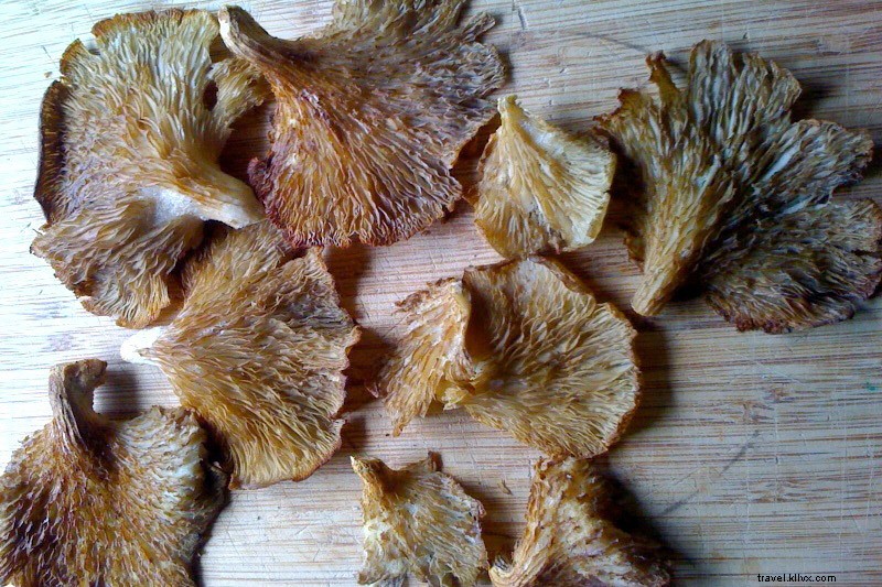Un végétarien explore les forêts californiennes à la recherche de champignons