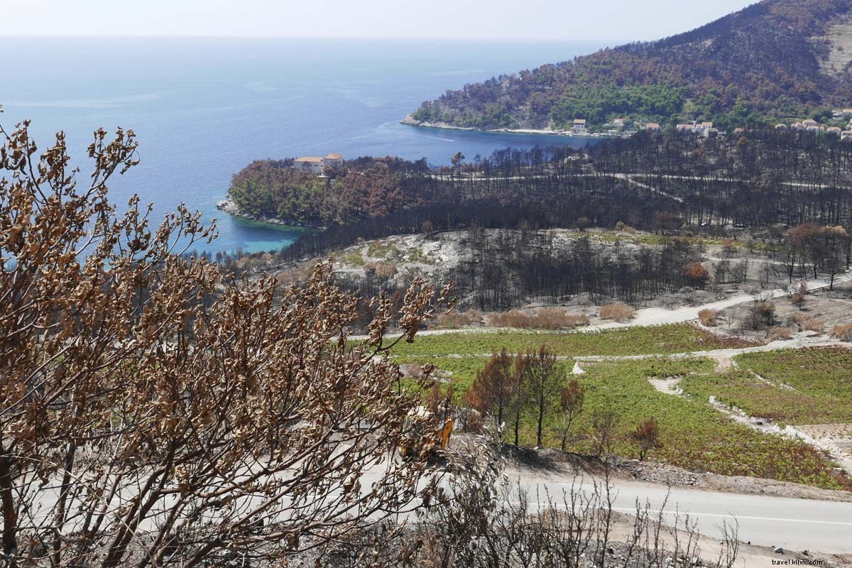 À la poursuite des vignes à travers la Dalmatie