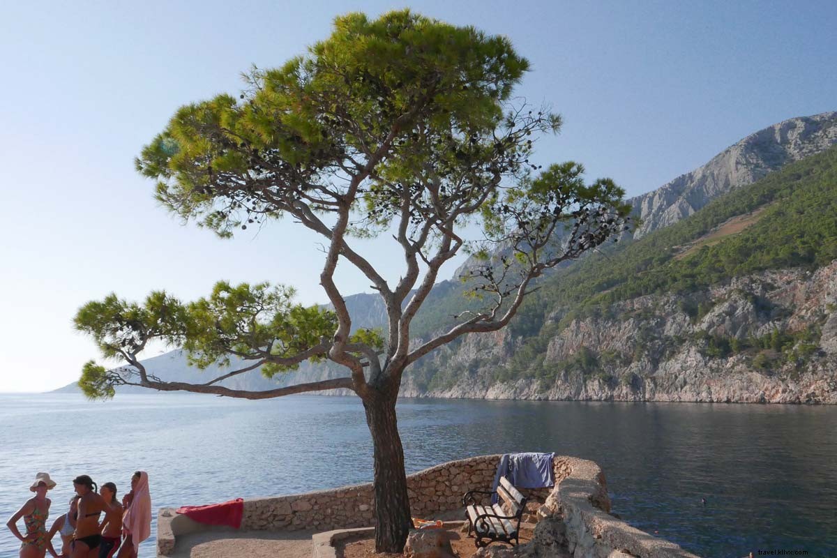 À la poursuite des vignes à travers la Dalmatie