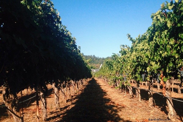 Mes hommages aux parrains de Grape Patch