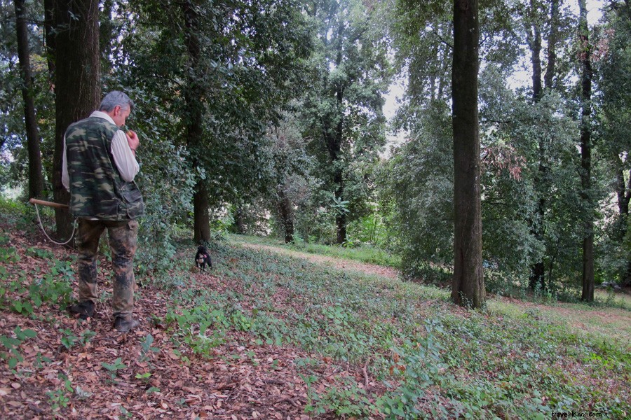 Une journée d’excursion au départ de Florence : dégustez un Bellini dans un monastère et partez à la recherche de truffes dans les bois