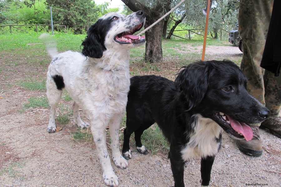 Une journée d’excursion au départ de Florence : dégustez un Bellini dans un monastère et partez à la recherche de truffes dans les bois