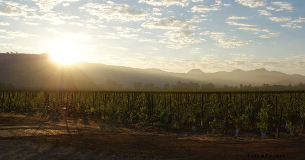 Visite guidée des vins de Napa et Sonoma