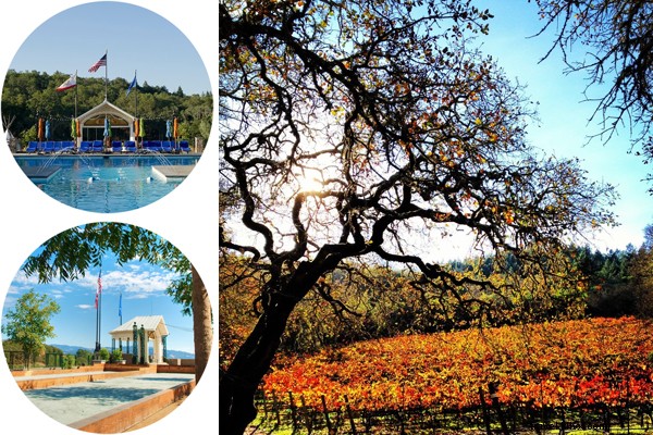 Visite guidée des vins de Napa et Sonoma