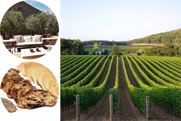 Visite guidée des vins de Napa et Sonoma