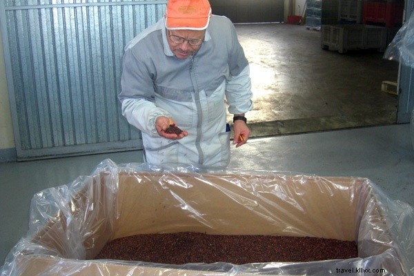 Le chocolat s’associe à l’huile d’olive en Italie