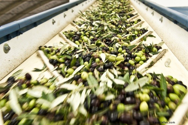 Le chocolat s’associe à l’huile d’olive en Italie