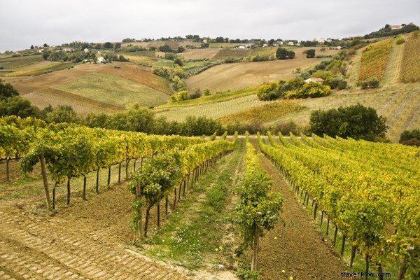 Un déjeuner paradisiaque dans les Marches