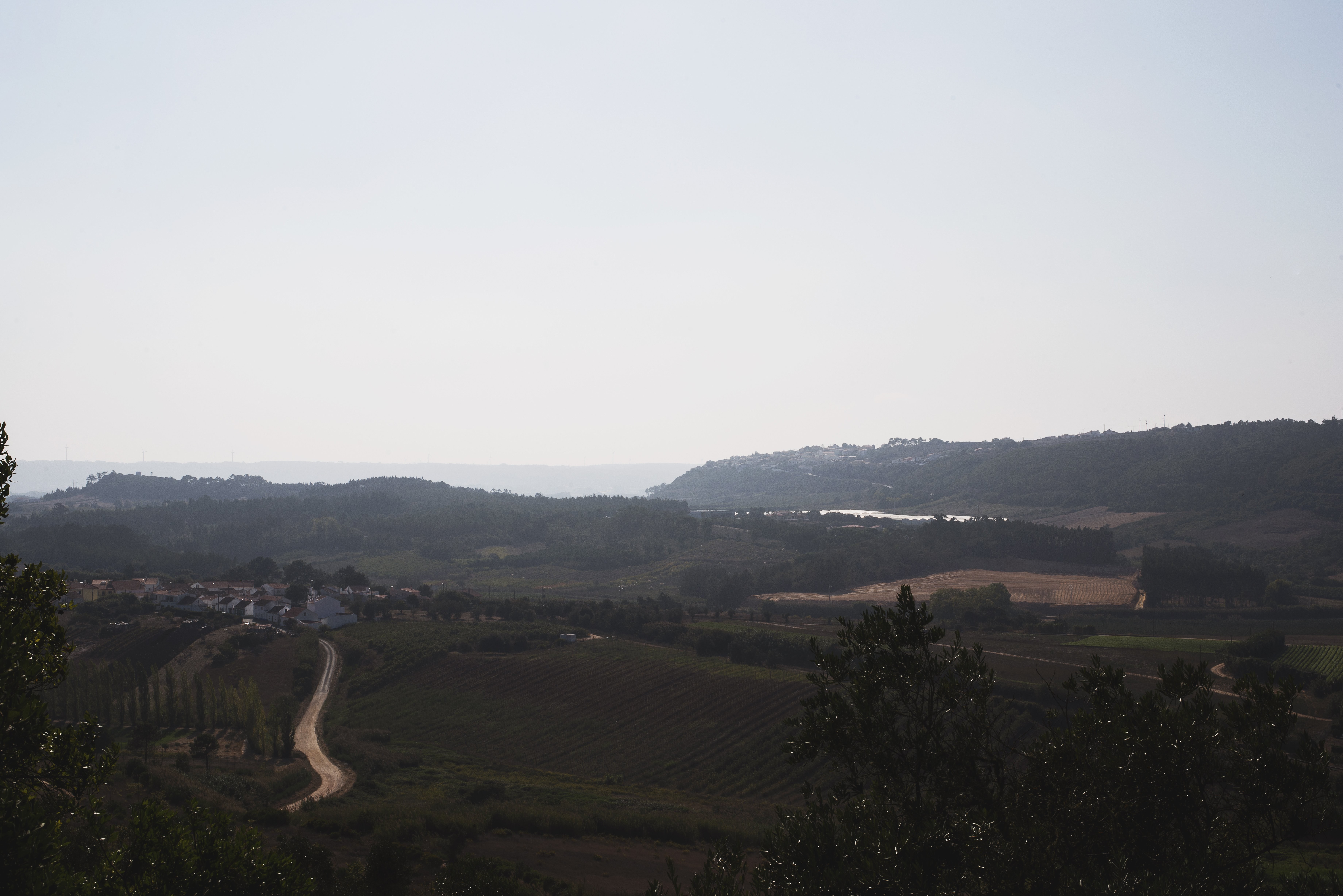 Une légère brume enveloppe le paysage à l horizon