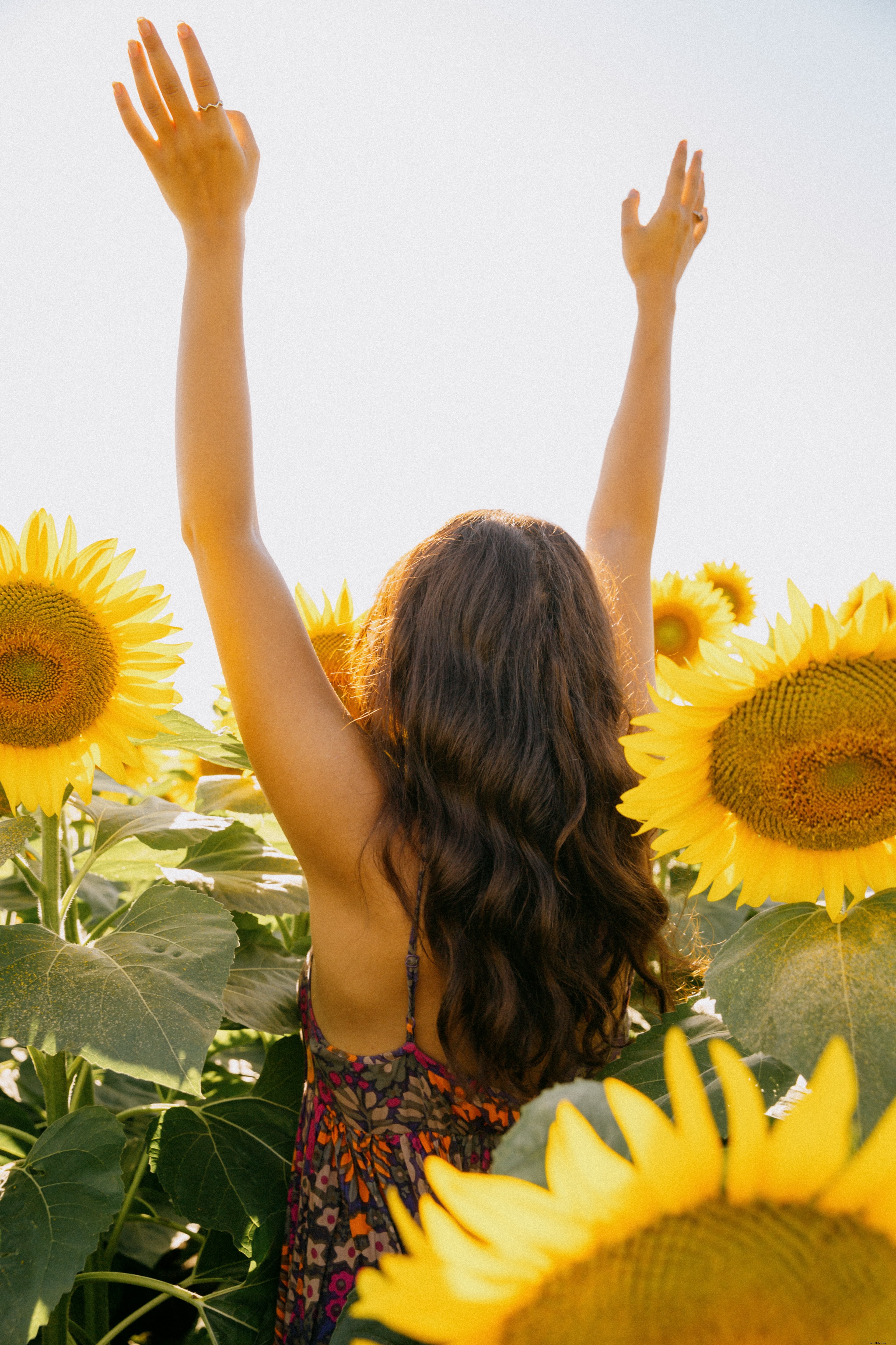 Photo d’une personne debout dans un champ de tournesols