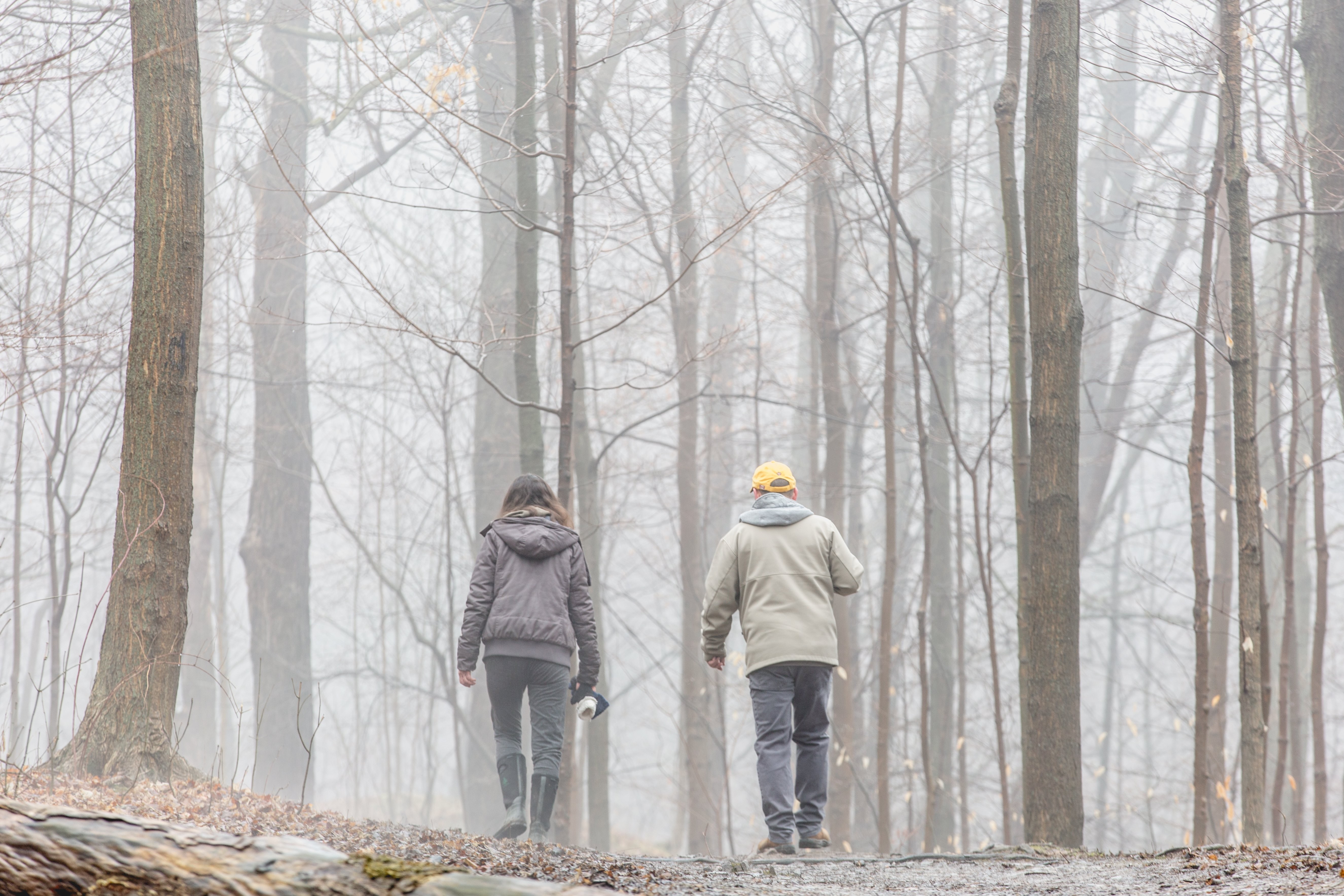 Couple âgé se promenant dans une forêt embrumée
