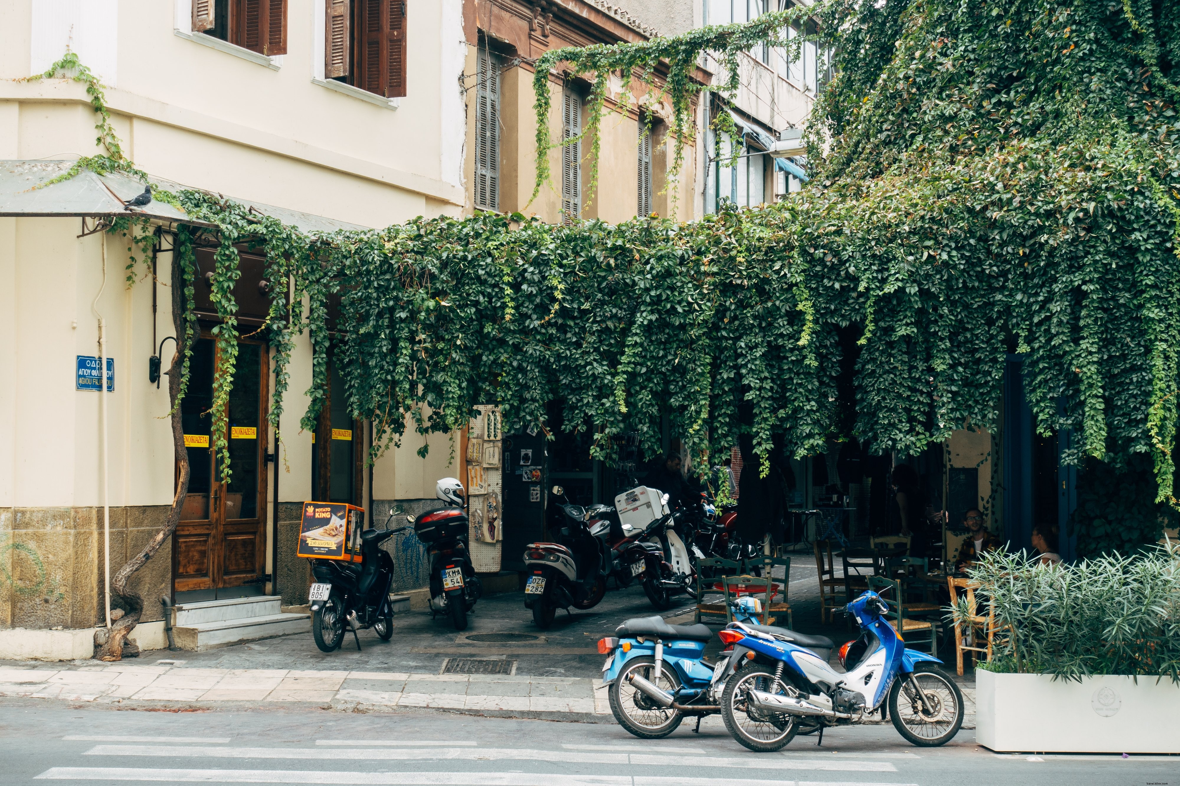 Motos garées sous les vignes verdoyantes – Photo