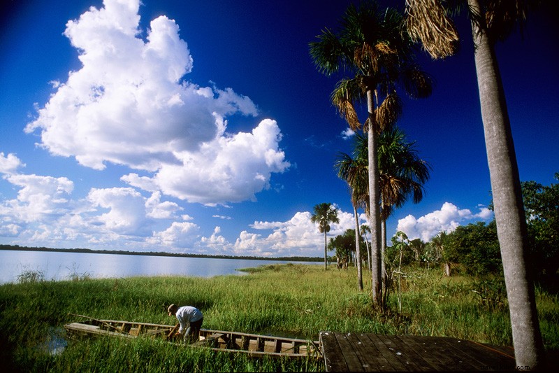 La réalité mord-elle ? Oui, si vous explorez la jungle du Pantanal au Brésil