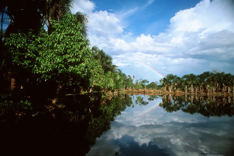 La réalité mord-elle ? Oui, si vous explorez la jungle du Pantanal au Brésil