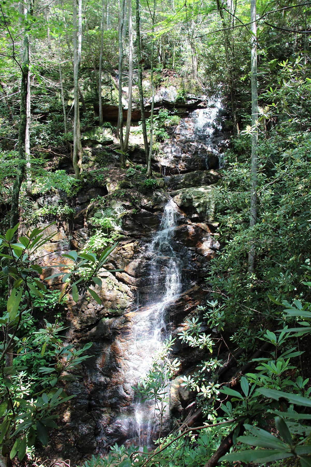 Retraite spectaculaire en montagne dans les contreforts des Great Smoky Mountains