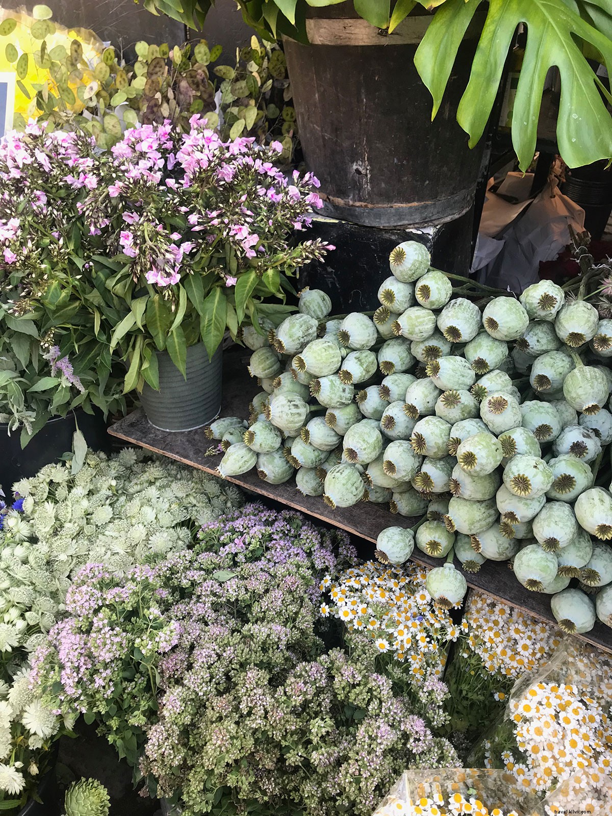 Un long week‑end à Copenhague : guide complet