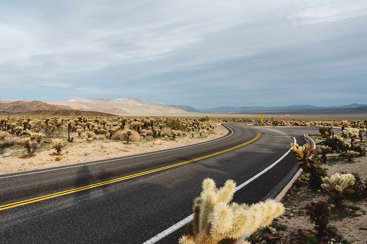 De retour de Joshua Tree et Los Angeles