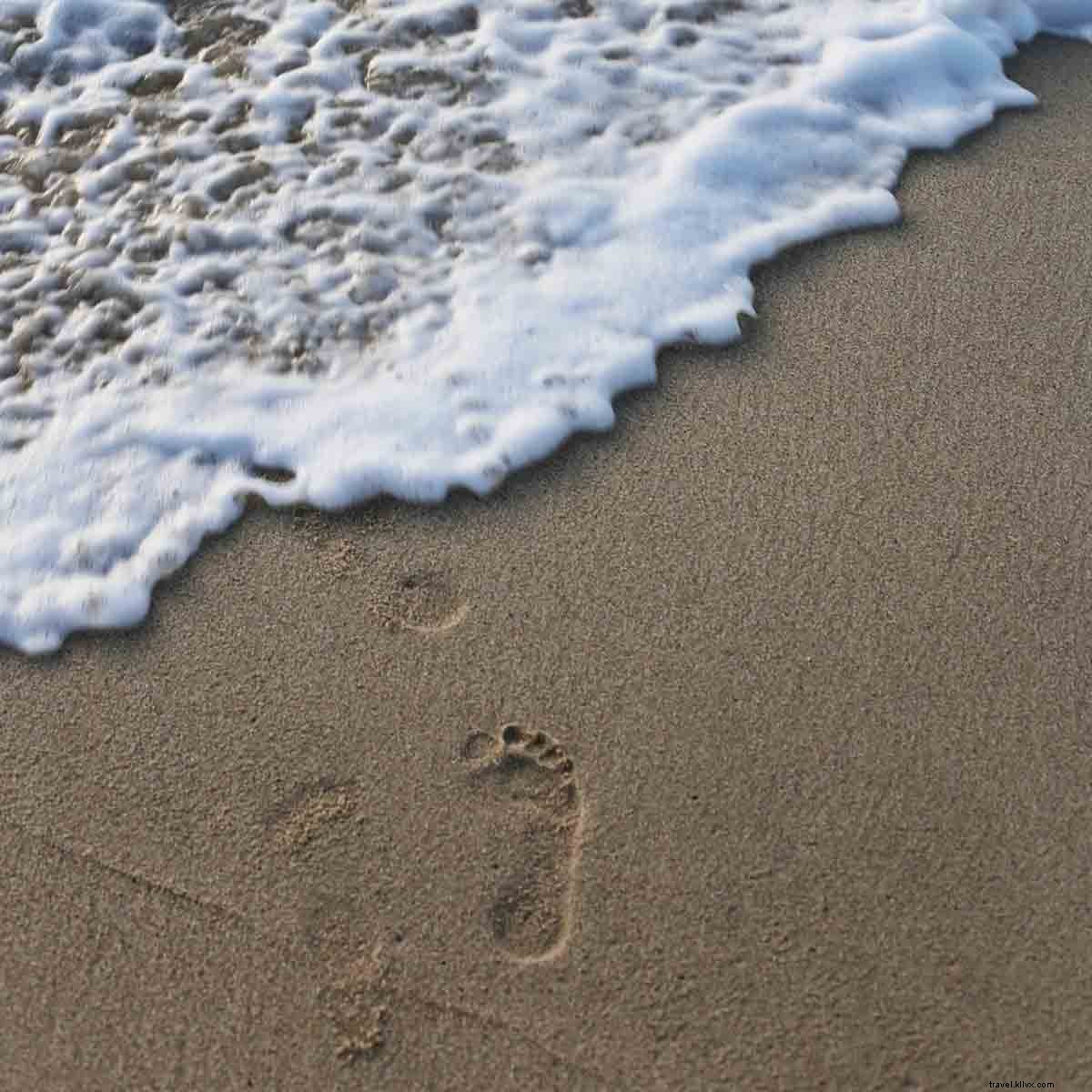 Des yeux éblouis par le nouveau joyau hors du commun de Los Cabos
