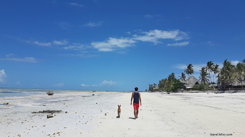 Deux semaines à Zanzibar : cabanes de plage, cuisine locale et activités