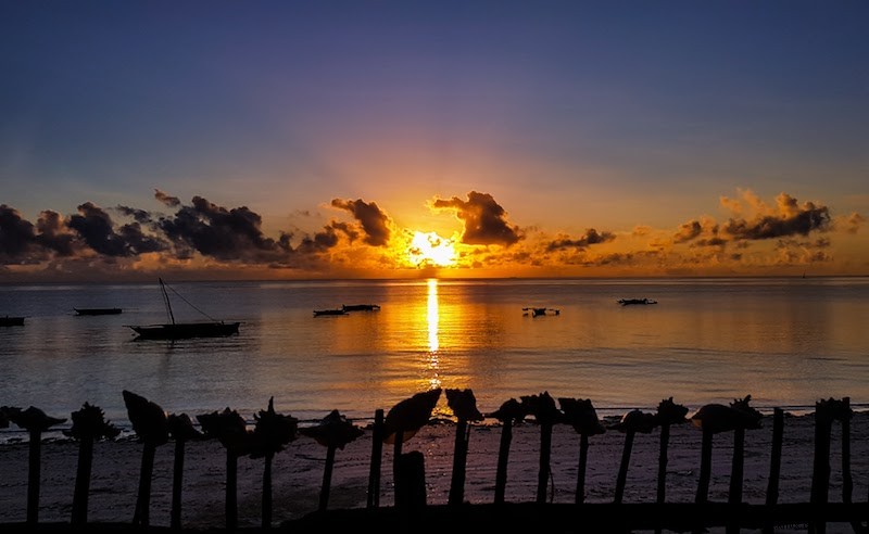 Deux semaines à Zanzibar : cabanes de plage, cuisine locale et activités