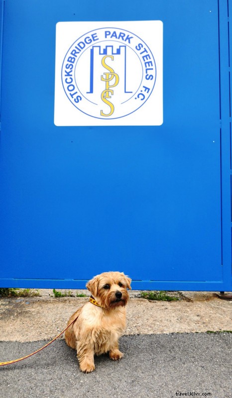 Stocksbridge Park Steels contre Marske United
