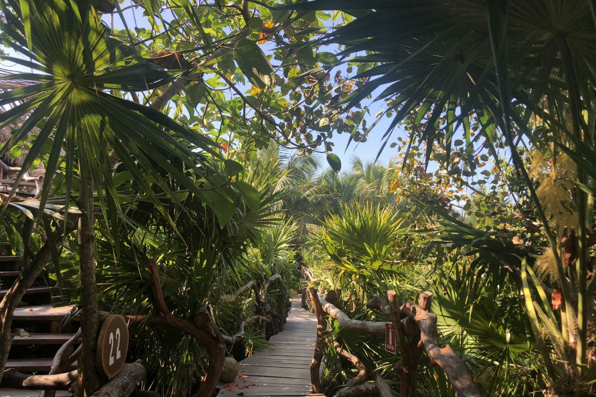 Déposez vos chaussures et vos inhibitions à l’entrée de ce refuge éco‑luxueux caché à Tulum