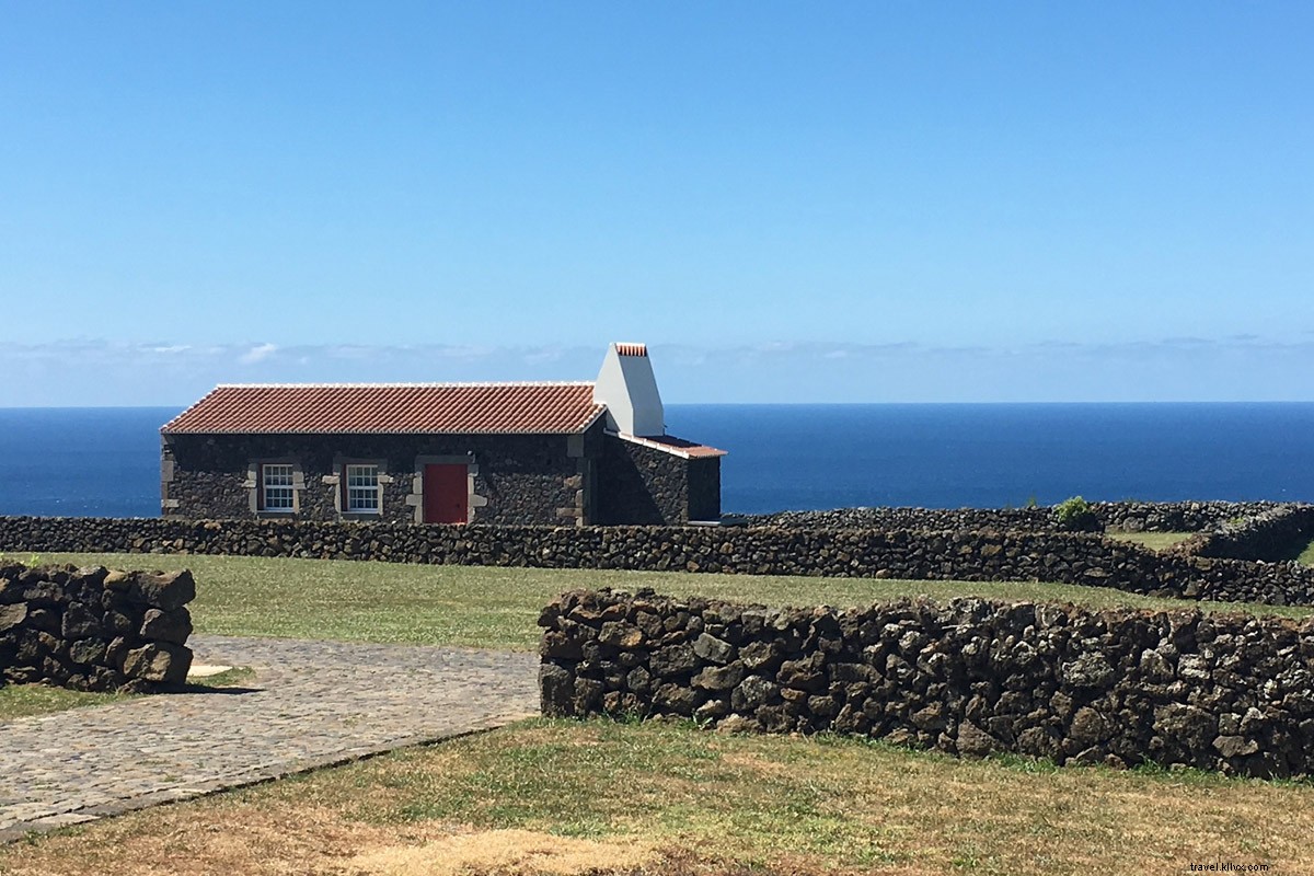 Des taureaux aux lapins : pourquoi vous allez adorer les Açores