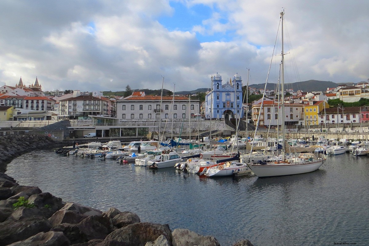 Des taureaux aux lapins : pourquoi vous allez adorer les Açores