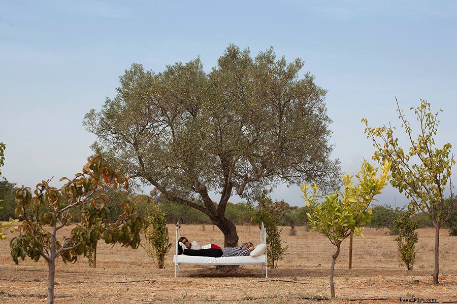 Le site incontournable pour chaque voyageur qui planifie un séjour au Portugal