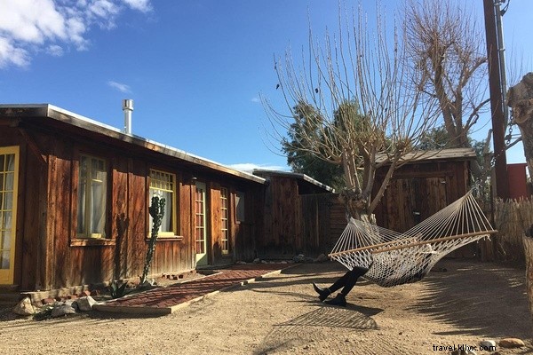 Fuir le froid : soleil et solitude à Joshua Tree