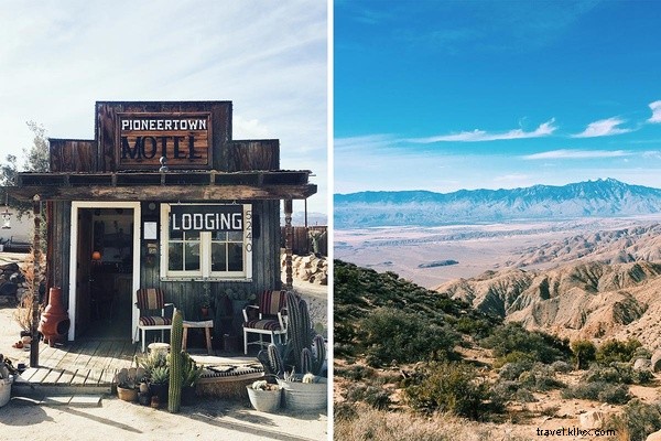 Fuir le froid : soleil et solitude à Joshua Tree