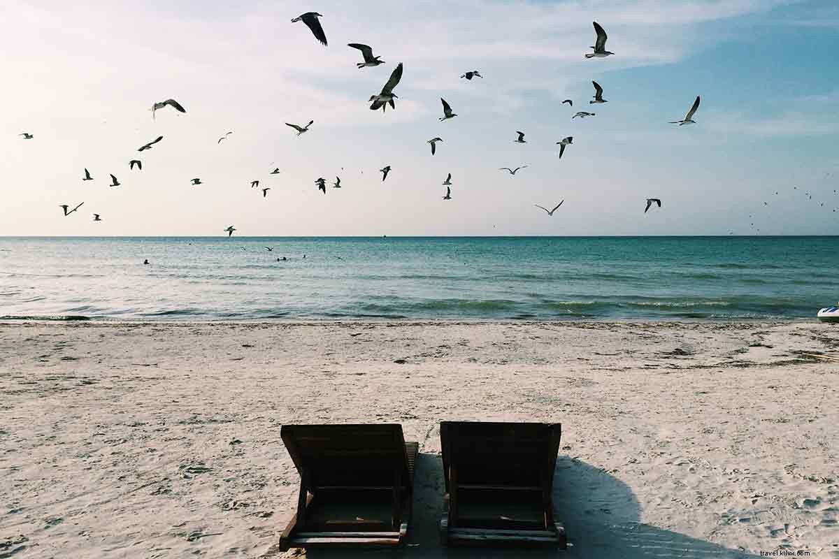 Échappez à Tulum : découvrez la pittoresque île d Isla Holbox