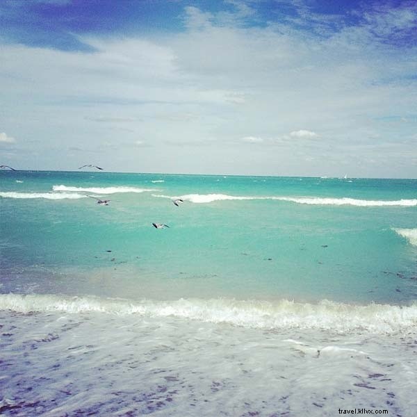 Pas de sommeil à Miami