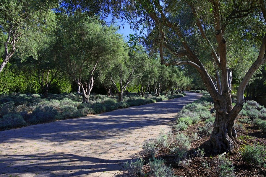 Histoire, Hollywood, Paradis : le Ranch de San Ysidro