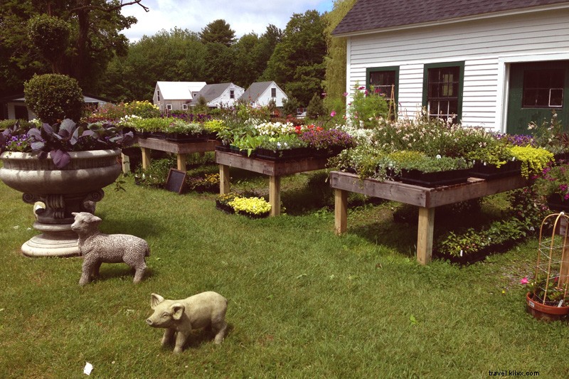 Petite pause : nos coups de cœur rapides à Kennebunk, Maine