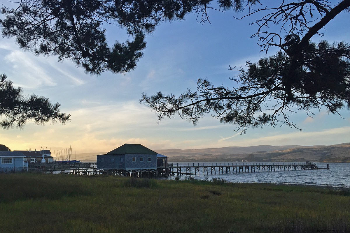 Une journée ne suffit pas à Point Reyes, Californie
