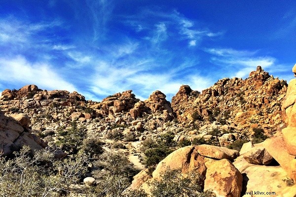 Des yeux rouges : de New York à Palm Springs