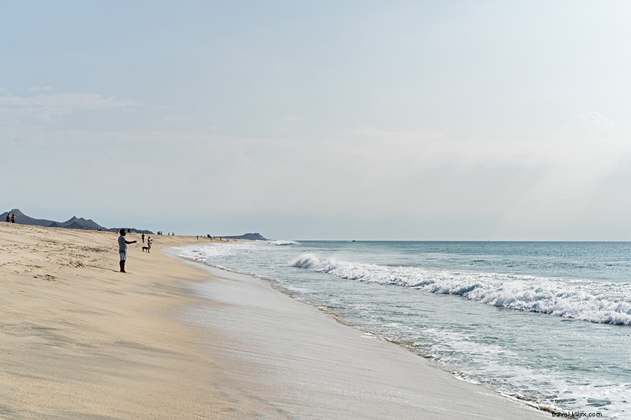 San José del Cabo : un renouveau éclatant