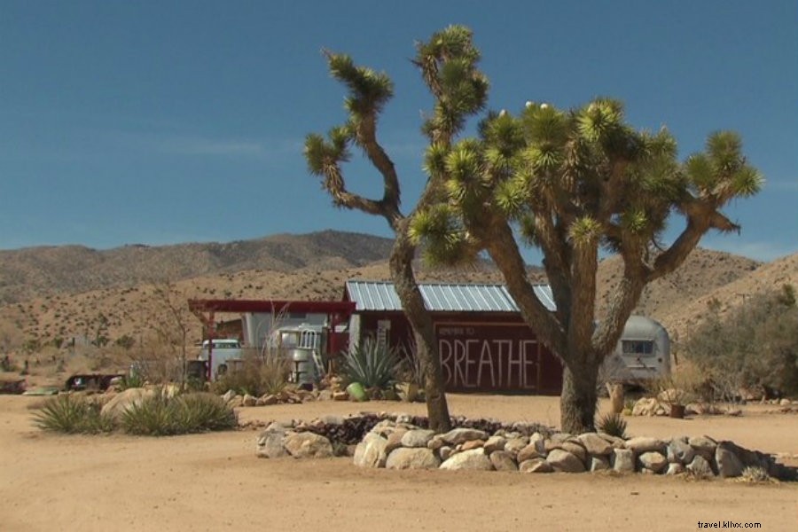 Les meilleurs et les plus élégants Airbnbs à Joshua Tree