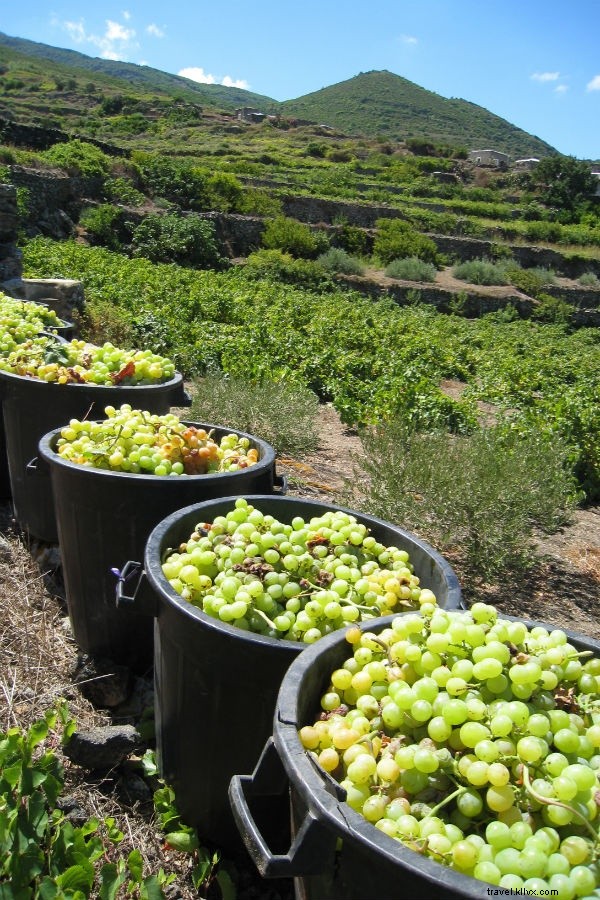 Ne racontez à personne la dernière île secrète d Italie