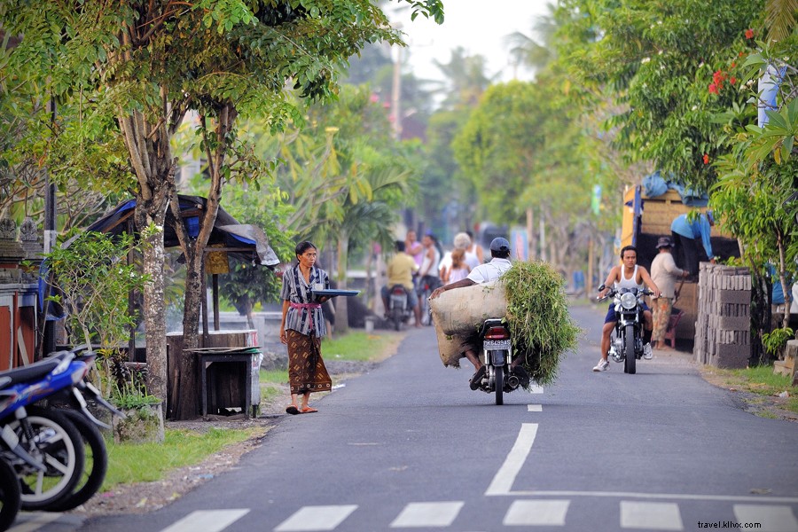 Une bouffée d air frais à Ubud, Bali