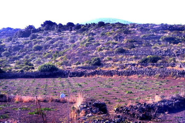 Pantelleria : l anti‑Capri italienne