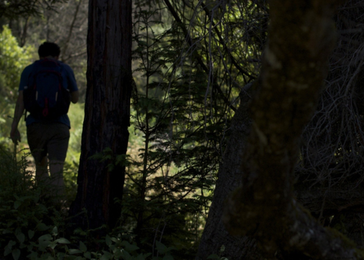 Retour de Big Sur
