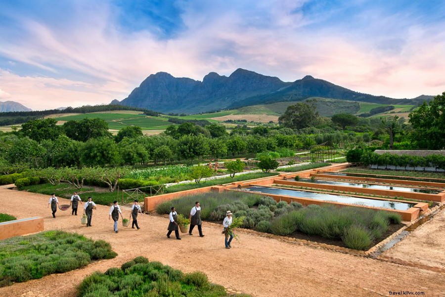 Prix Fathom Travel 2018 : Les 15 meilleures escapades gourmandes du monde