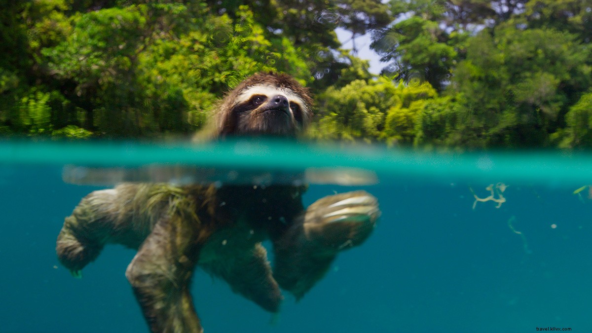 14 documentaires de voyage incroyables à regarder sur Netflix