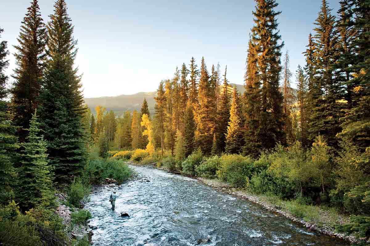 5 hôtels de luxe idéaux pour les familles