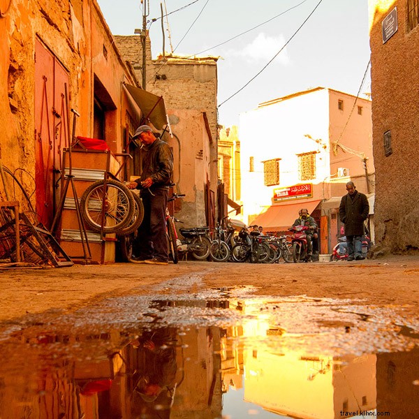 L Orangerie de Marrakech : un voyage orange
