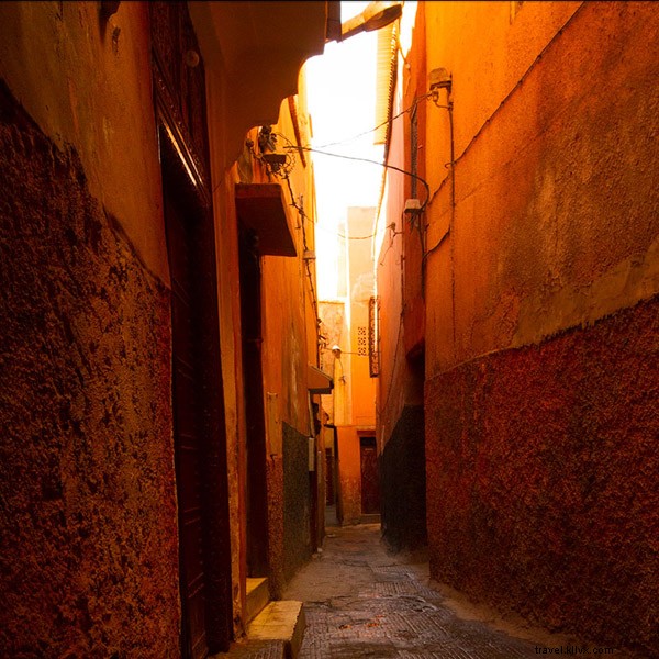 L Orangerie de Marrakech : un voyage orange