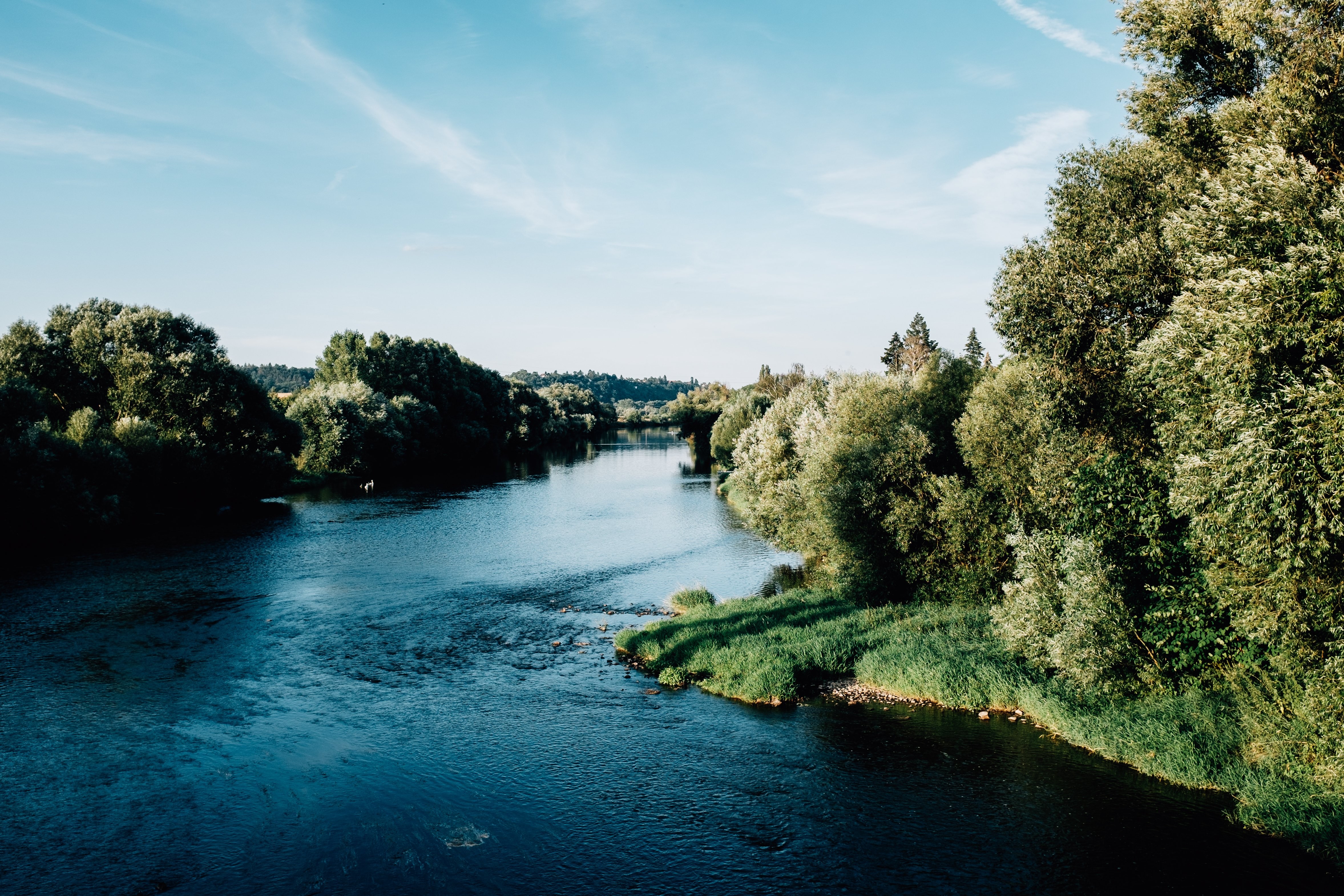 Eau bleue et arbres verts sous le soleil d été – Photo